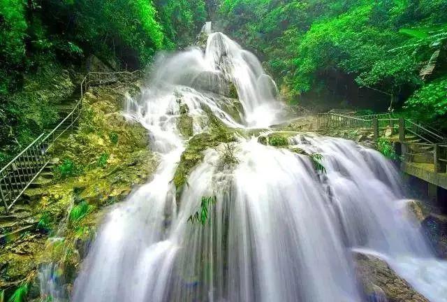 鬼泣5